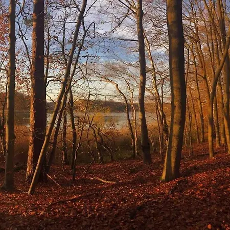 아파트 Strandnahe Mit Floss