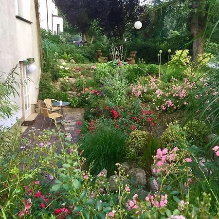 Strandnahe Mit Floss *